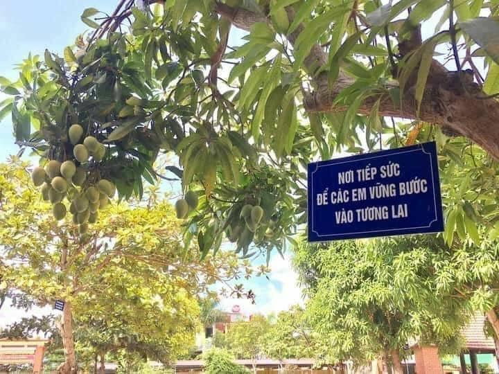 Chủ nhà đánh số từng quả xoài để tránh bị vặt mất, dân mạng cảnh báo: 'Còn đúng cái cành' 1 Chủ nhà đánh số từng quả xoài để tránh bị vặt mất, dân mạng cảnh báo: 'Còn đúng cái cành' 1