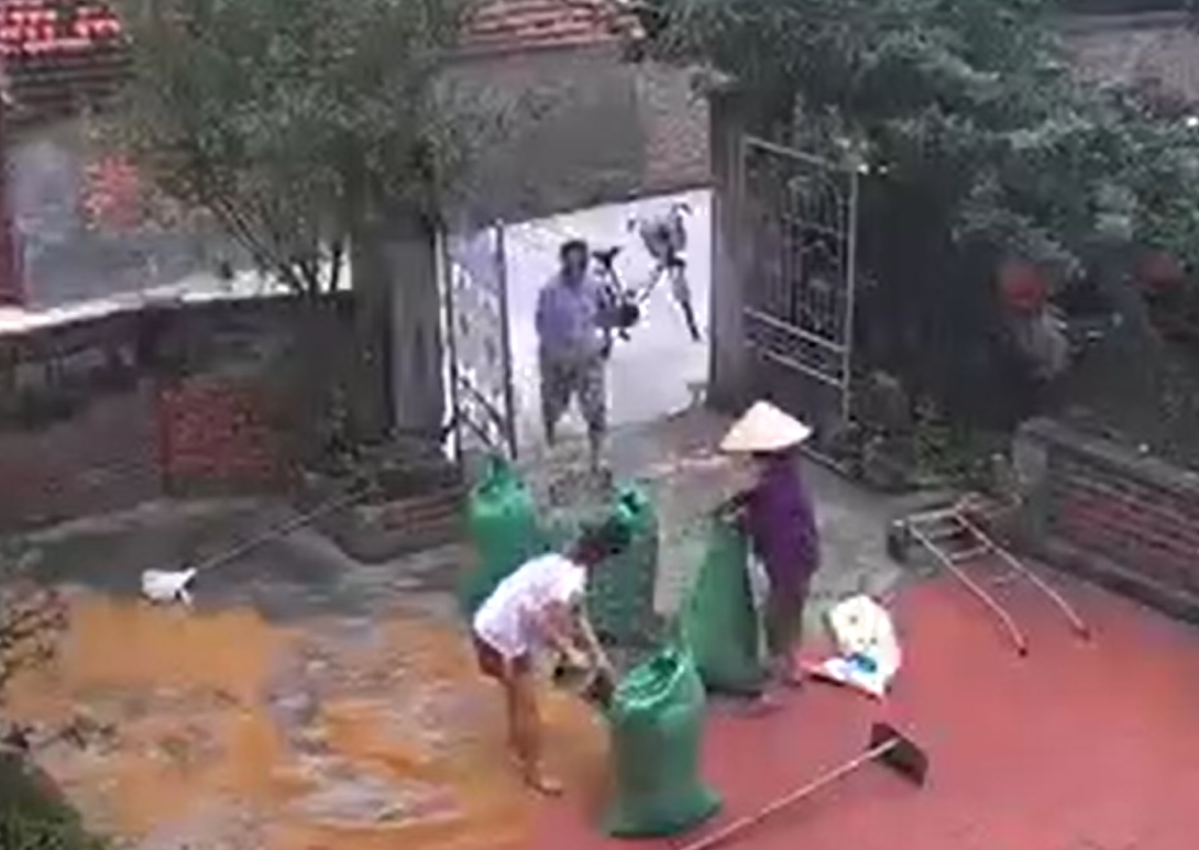 Cả xóm góp sức gom thóc chạy mưa, dân mạng thổn thức: 'Ngày xưa nhà mình cũng thế' 3 Cả xóm góp sức gom thóc chạy mưa, dân mạng thổn thức: 'Ngày xưa nhà mình cũng thế' 3