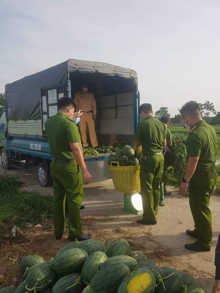 Chiến sĩ công an đội nắng gắt, xuống đồng thu hoạch dưa hấu giúp người dân 5 Chiến sĩ công an đội nắng gắt, xuống đồng thu hoạch dưa hấu giúp người dân 5
