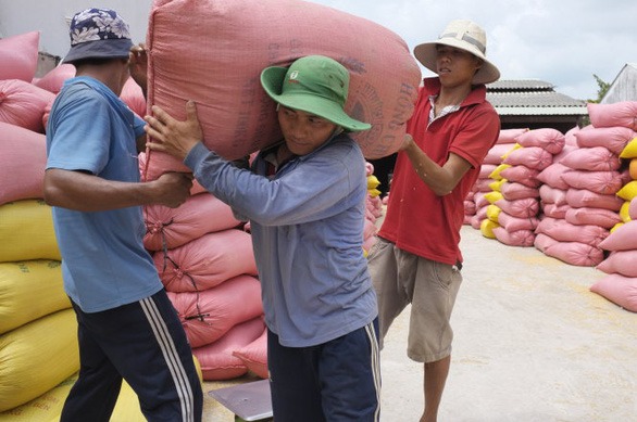 Việt Nam tạm dừng xuất khẩu gạo 1
