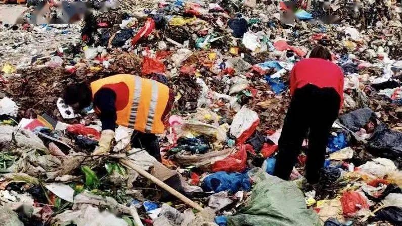 Mùng 1 Tết đi bới rác tìm lại gần 40 triệu đồng vứt nhầm đêm Giao thừa 1
