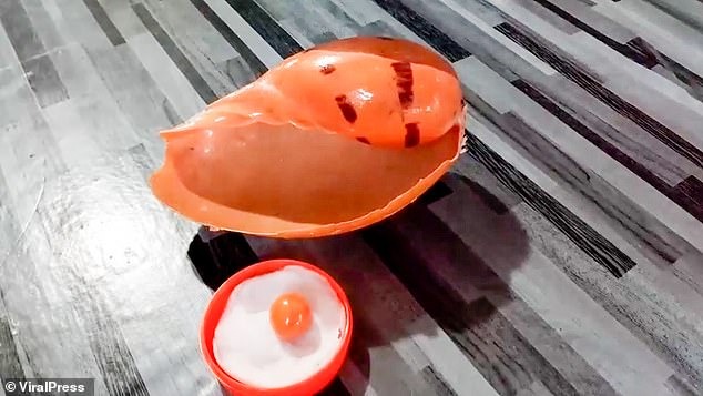 Tài xế cắn phải viên ngọc trai 8 tỷ đồng khi ăn ốc luộc 2 Tài xế cắn phải viên ngọc trai 8 tỷ đồng khi ăn ốc luộc 2