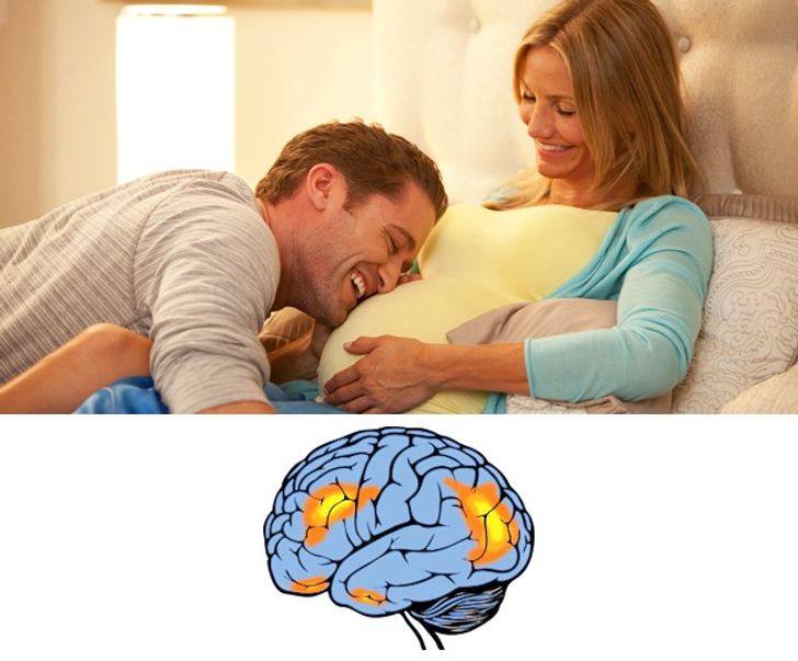 9 sự thật ngỡ ngàng về cơ quan bí ẩn nhất cơ thể người 5 9 sự thật ngỡ ngàng về cơ quan bí ẩn nhất cơ thể người 5