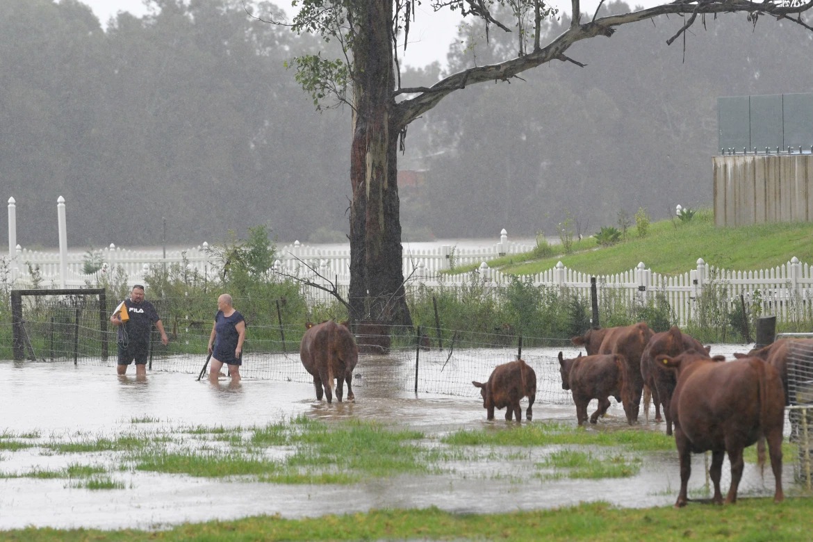 Cận cảnh mưa lũ ngập đầu xe khiến người dân Australia phải sơ tán khẩn 9