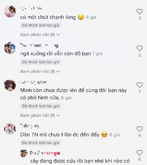 Thốt nốt tình yêu Tây Ninh muốn 'ly hôn', người dân nhất quyết không cho 5 Thốt nốt tình yêu Tây Ninh muốn 'ly hôn', người dân nhất quyết không cho 5