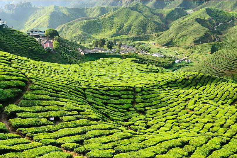 Việt Nam nằm trong top 10 nước tốt nhất cho người nước ngoài năm 2021 3 Việt Nam nằm trong top 10 nước tốt nhất cho người nước ngoài năm 2021 3