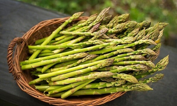 5 loại rau có dư lượng thuốc trừ sâu cực ít, đắt mấy cũng nên mua về - Ảnh 2 5 loại rau có dư lượng thuốc trừ sâu cực ít, đắt mấy cũng nên mua về - Ảnh 2