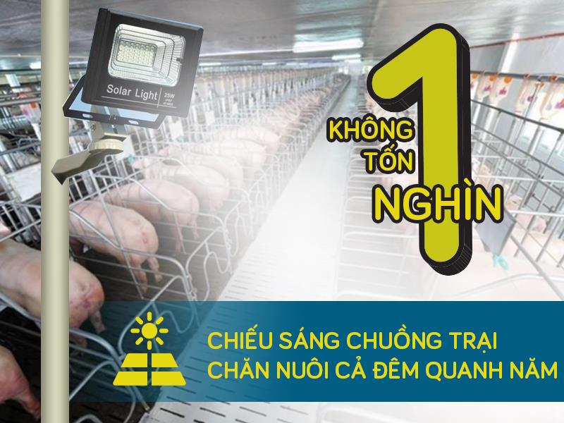 Đèn năng lượng mặt trời giải pháp chiếu sáng hiệu quả và tiết kiệm cho mọi gia đình 2 Đèn năng lượng mặt trời giải pháp chiếu sáng hiệu quả và tiết kiệm cho mọi gia đình 2