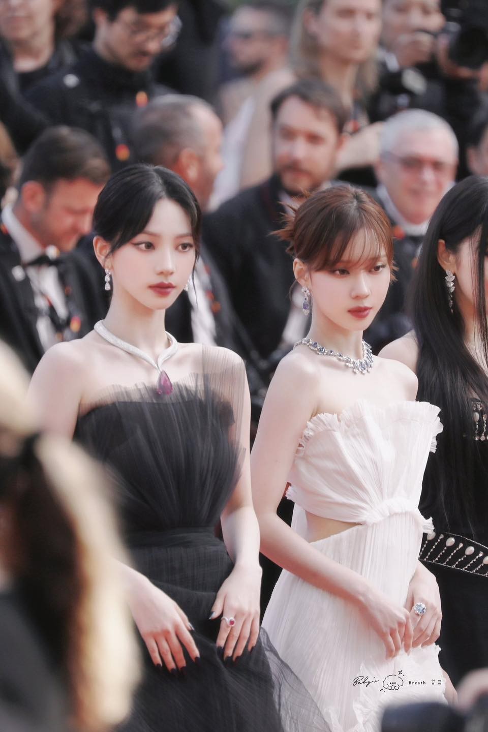 Thiên nga đen Karina và thiên nga trắng Winter gây bão khi chung một khung hình. Thiên nga đen Karina và thiên nga trắng Winter gây bão khi chung một khung hình.